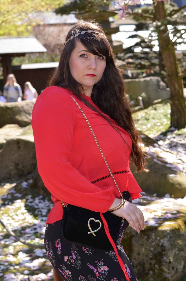 Kirschblüten cherry rot