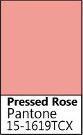 Pressed Rose.jpg
