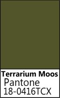 Terrarium Moos