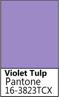Violet Tulp.jpg